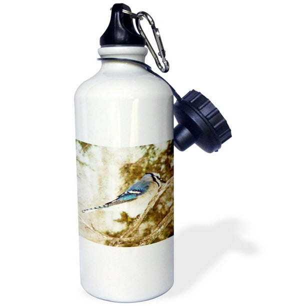 3dRose wb_206588_1 USA Sports Water Bottle 21oz Multicolored 3dRose wb_206588_1 USA Sports Water Bottle 21oz Multicolored